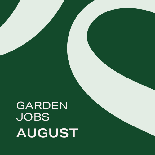 Garden Jobs: August