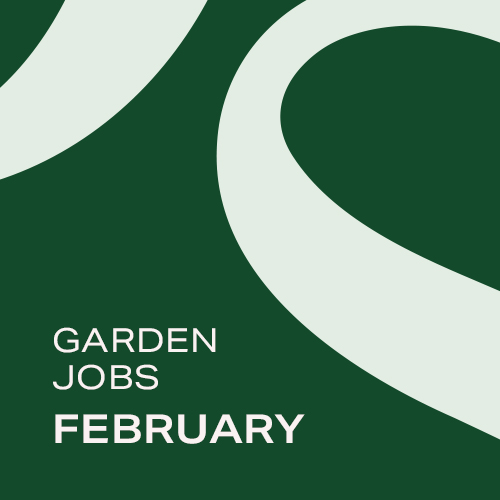 Garden Jobs: February