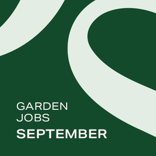 Garden Jobs: September